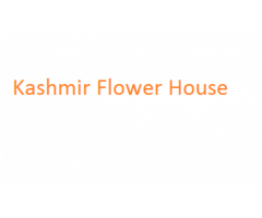 Kashmir Flower House