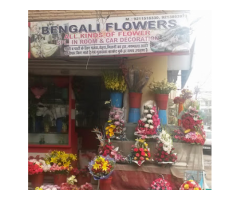 Bengali Flowers