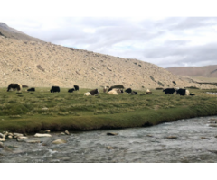Leh Ladakh Tour Packages,Safdarjung Enclave