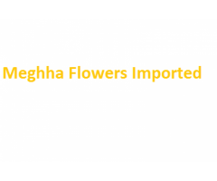 Meghha Flowers Imported 