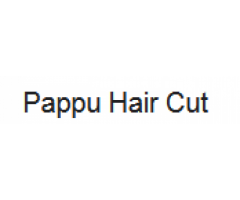 Pappu Hair Cut,Rohini