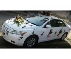 Wedding Car and Bus Rental Service in Jaipur
