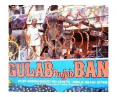 Hind Gulab Band  