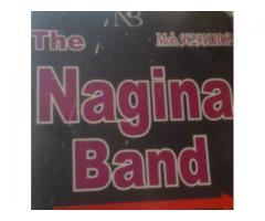 The Nagina Band