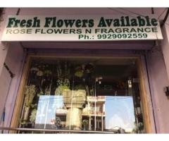 Ferns N Petals - Florist & Gift Shop