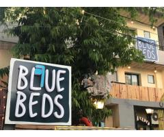 Blue Beds