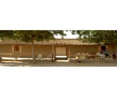 Saharia Organic Resort (Farm House)