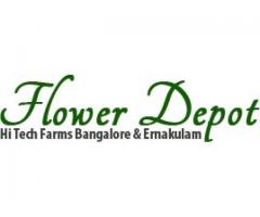 Flower Depot