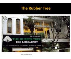 Rubber Tree Bed and Breakfast