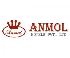 Anmol Hotel Pvt.Ltd.,Pahar Ganj